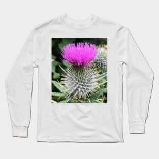 scottish thistle with beautiful purple head Long Sleeve T-Shirt